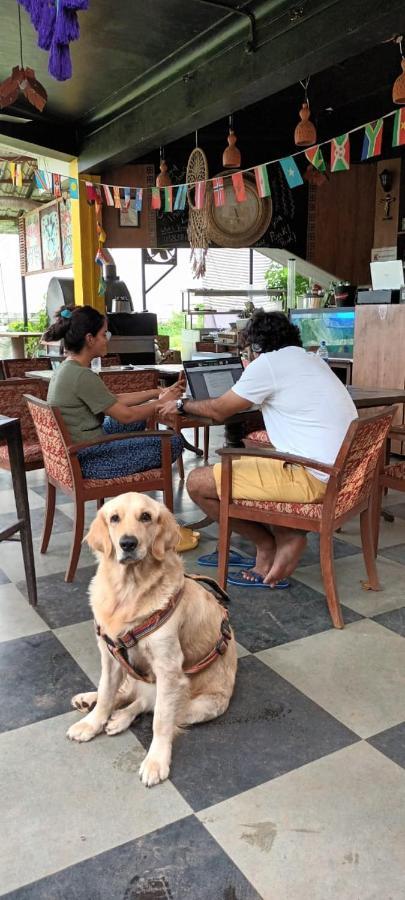 Hotel Nostalgicgoa Homestay & Shared Accomodation